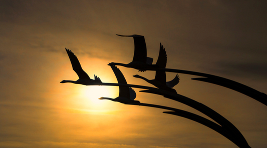 The Story of 'The Children Of Lir'